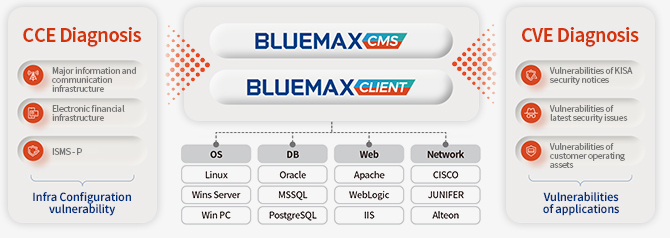 CCE/CVE integrated diagnosis of various assets with a single solution