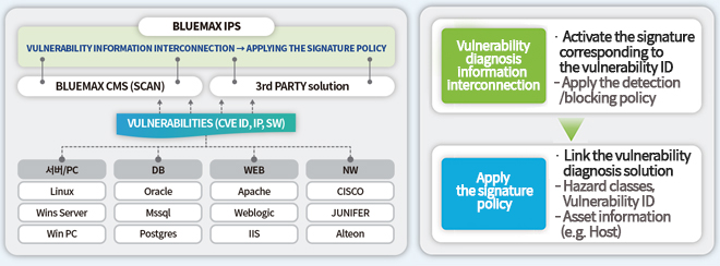 Customized security policy based on analysis of asset vulnerabilities